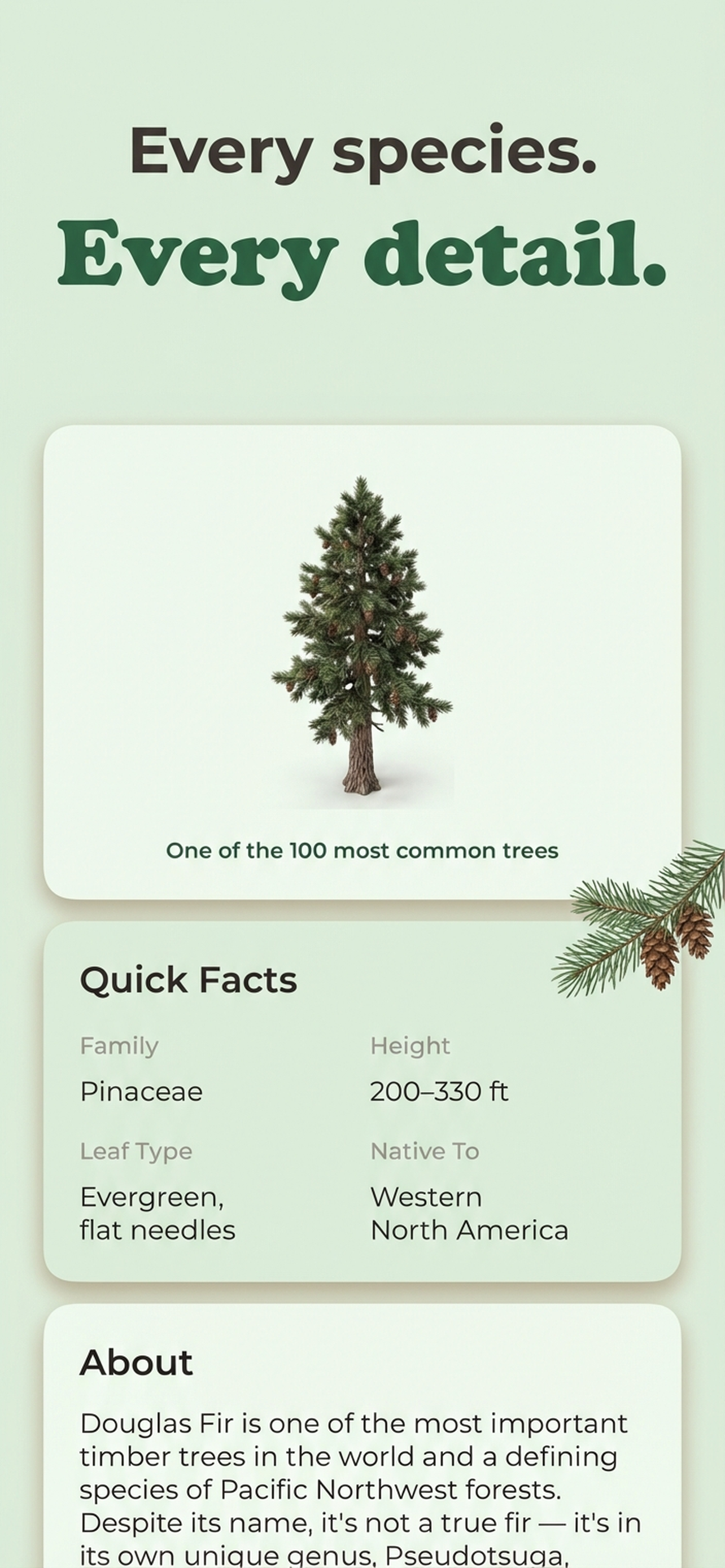 Tree Identifier - AI Tree ID screenshot 4