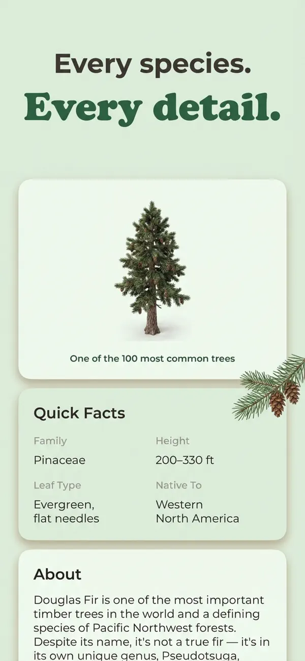 #4. Tree Identifier - Tree ID (iOS) โดย: Toto Ventures Inc.