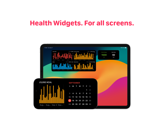 Screenshot #6 pour Health Auto Export - JSON+CSV
