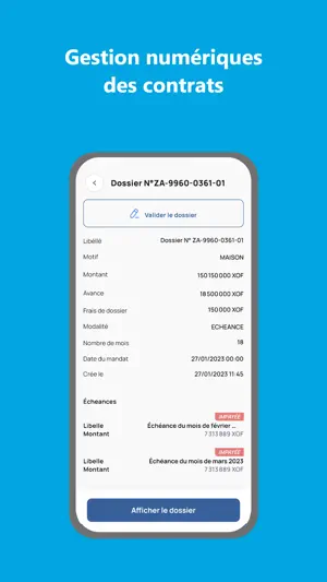 ZenAPI screenshot 2