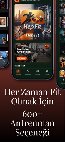 HepFit screenshot