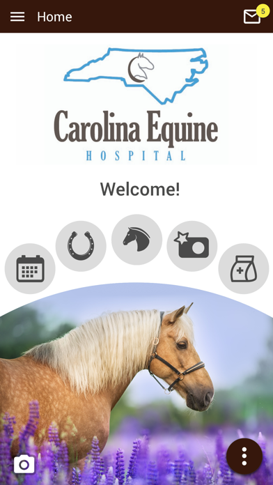 Carolina Equine Hospital Screenshot