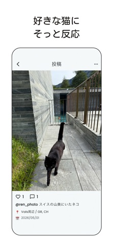 のらねこ iPhone screenshot
