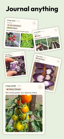 Harvest Journal: Stats & Diary screenshot 4