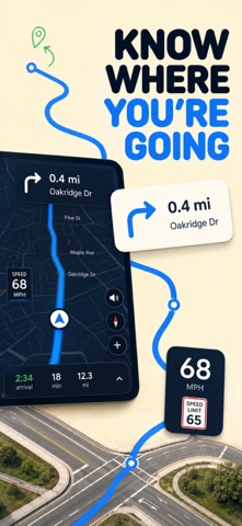 Car Dashboard Widget & Sync iPhone screenshot