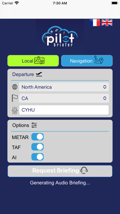 Pilot-Briefer Screenshot