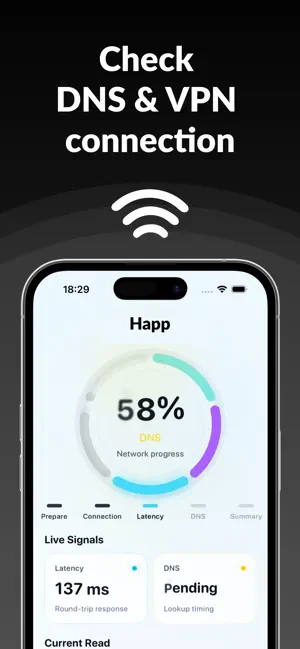 Hubb - Check your DNS & VPN screenshot 1
