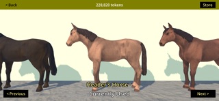Rider Rodeo Screenshot 2 of 10