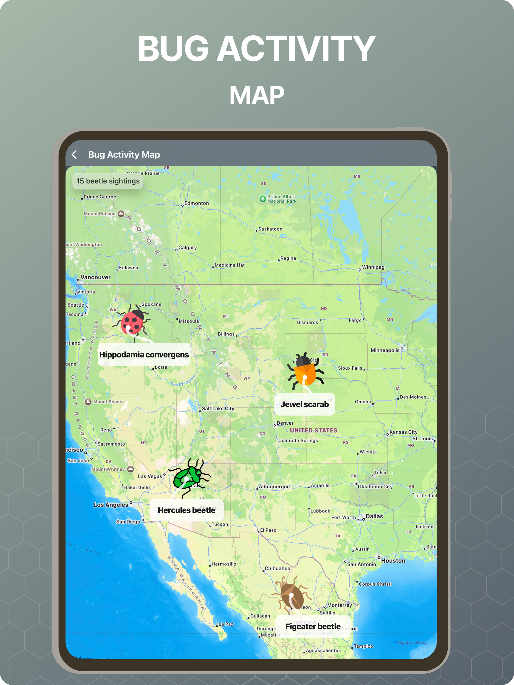 Bug Identifier - BugScope