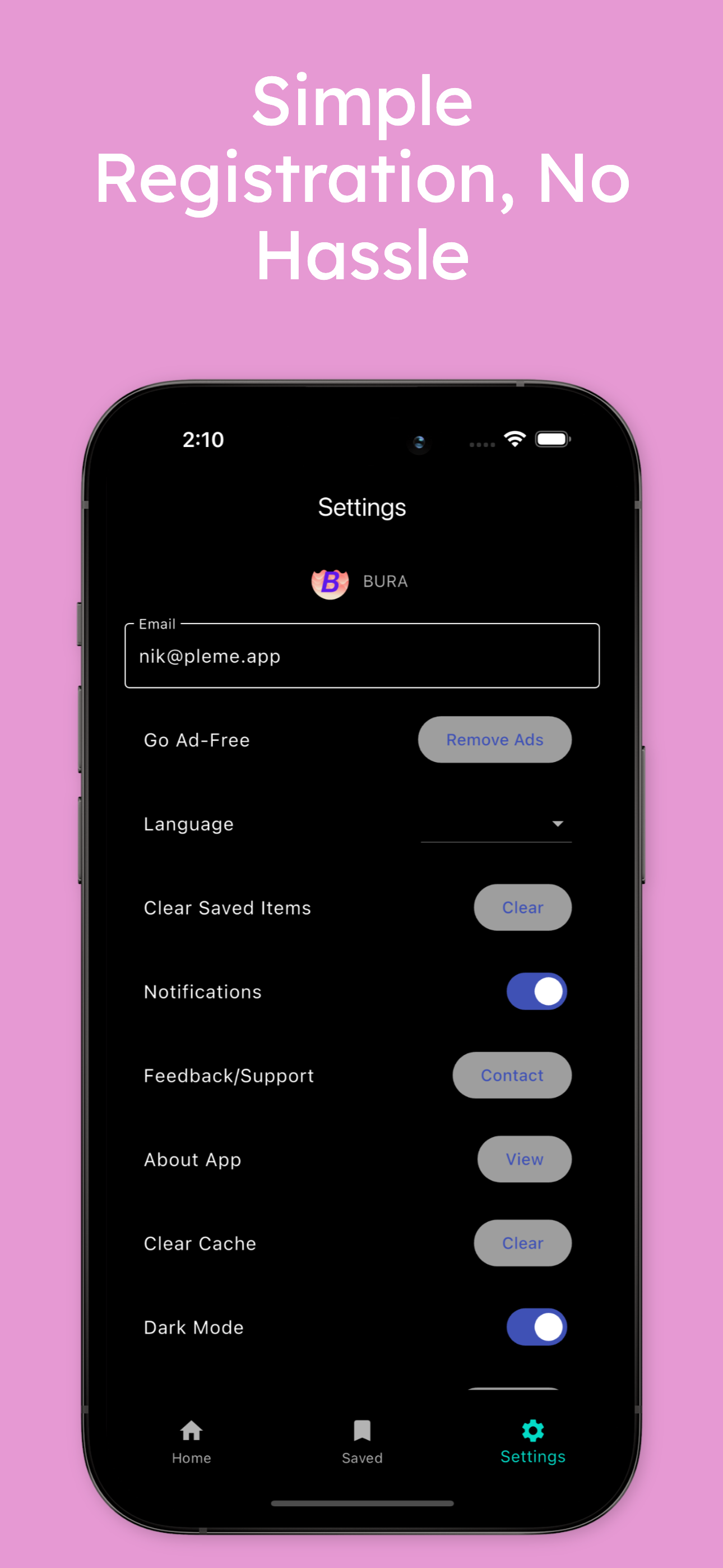 BURA screenshot 4