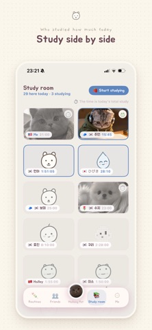 Malang - Study Routines Screenshot 4 of 6