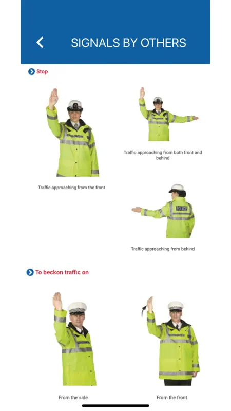 Guernsey Theory Test Manual screenshot 10 of 10