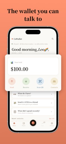 CoWallet AI Screenshot 1 of 4
