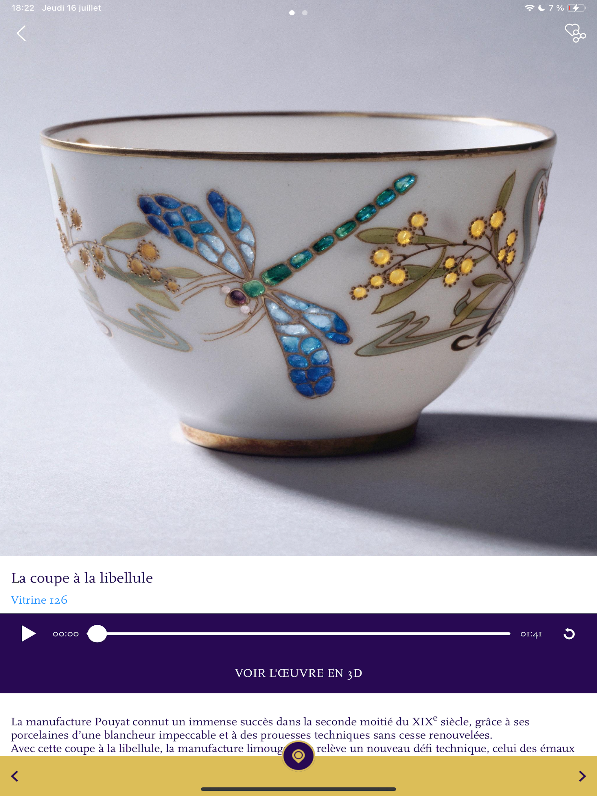 Musée national Adrien Dubouché screenshot 7