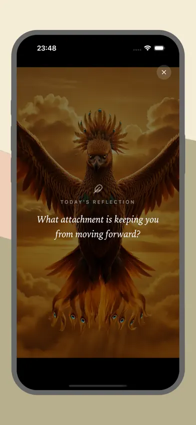 Rumi: Lifetime Edition screenshot 3