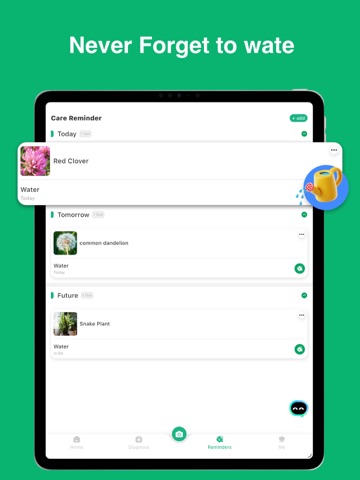 Plant Identifier: ChatPlant AI iPad screenshot