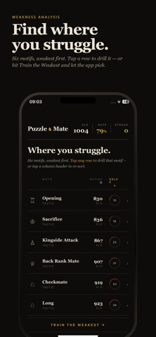 PuzzleMate - Chess Puzzles Screenshot 4 of 9