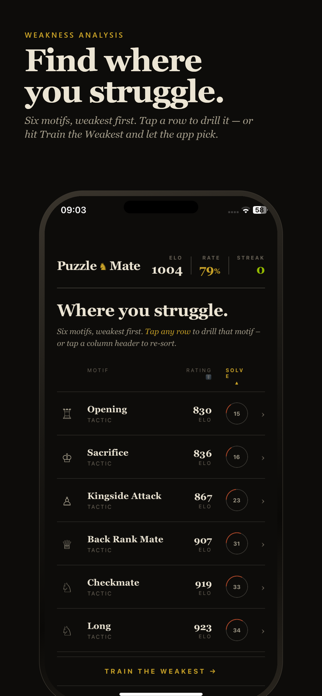 PuzzleMate - Chess Puzzles Screenshot 4 of 9