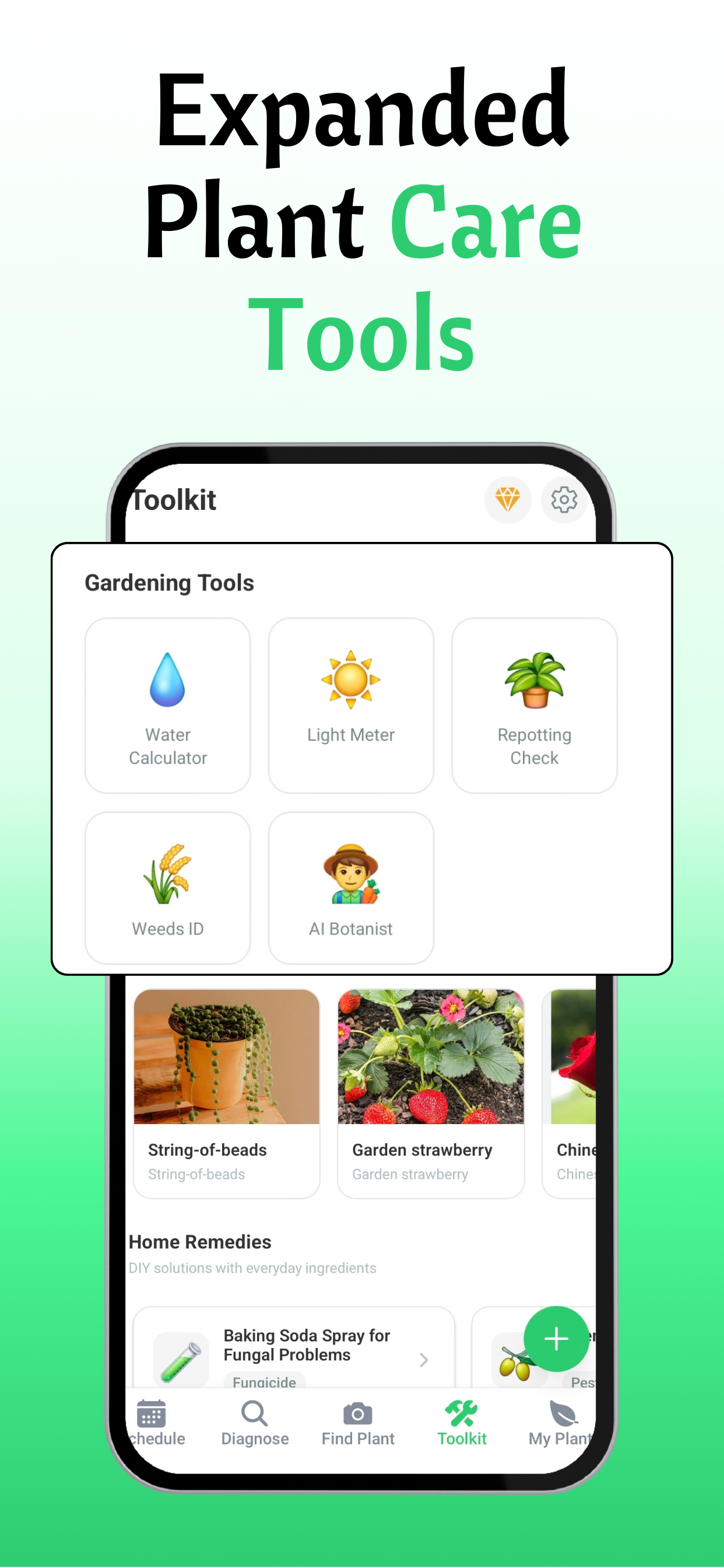 Plant Flow: Identify & Care