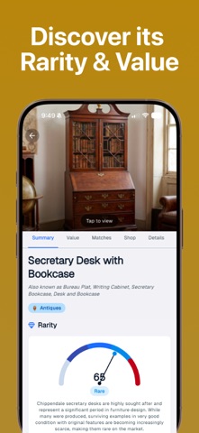 Antique Identifier: AI AntiqIQ screenshot