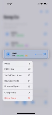 Song Co screenshot
