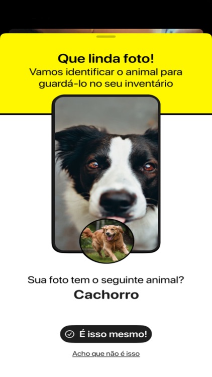 Catch It! screenshot-3