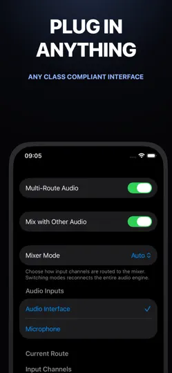 Скриншот Boost Pedal: AUv3 Plugin на iPhone 5