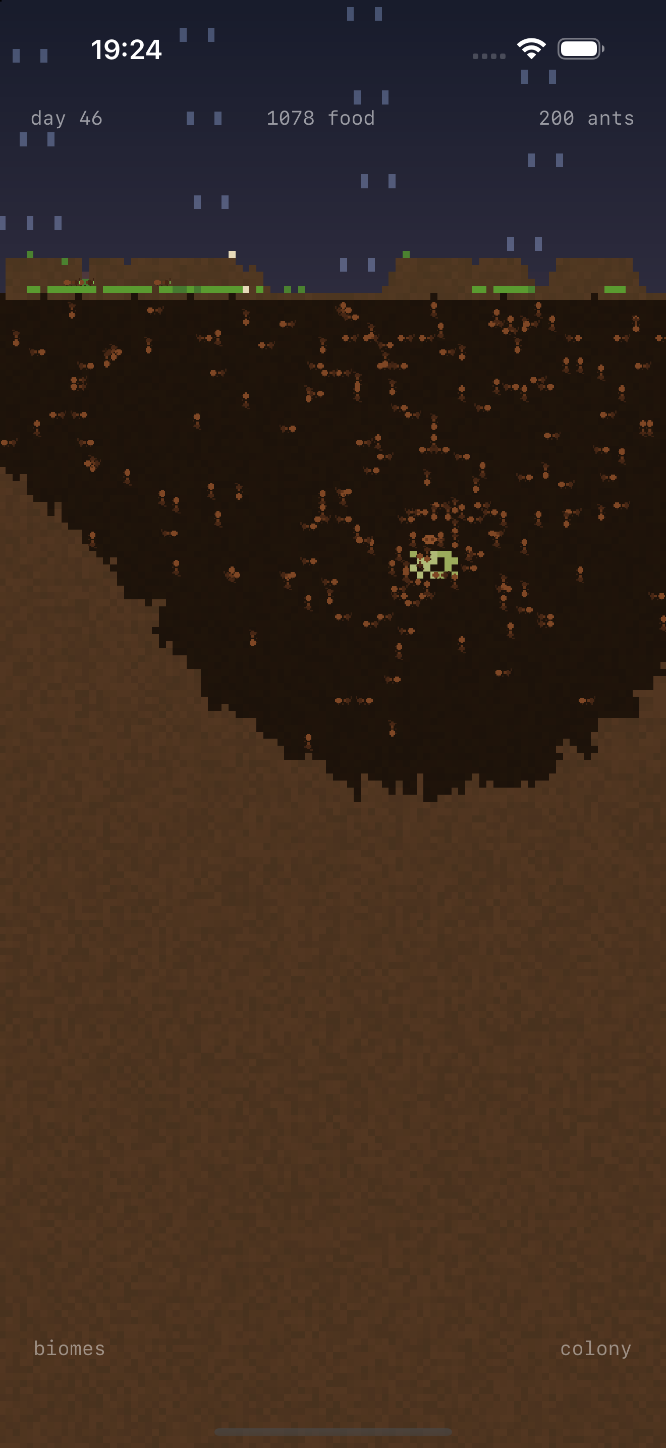Little Colony — Ant Farm screenshot 3