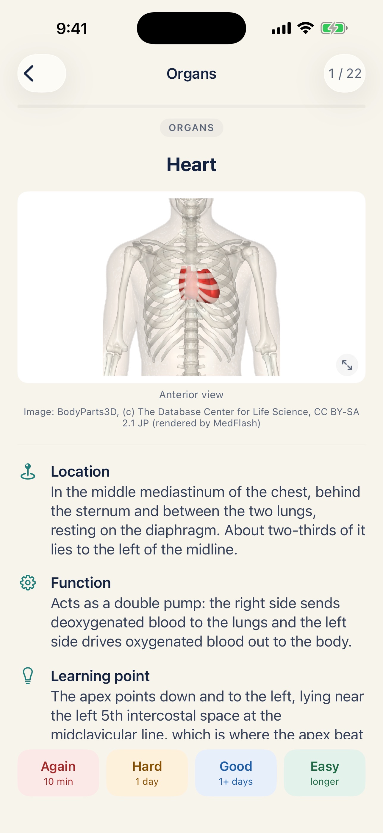 Screenshot 1 of MedFlash Anatomy Cards