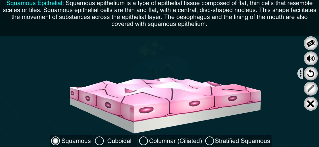 Screenshot #1 pour Epithelial Tissues-EduTech Era