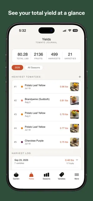 Tomato Journal screenshot 3