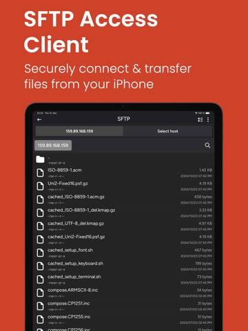 Terminal - SFTP & SSH Client iPad screenshot