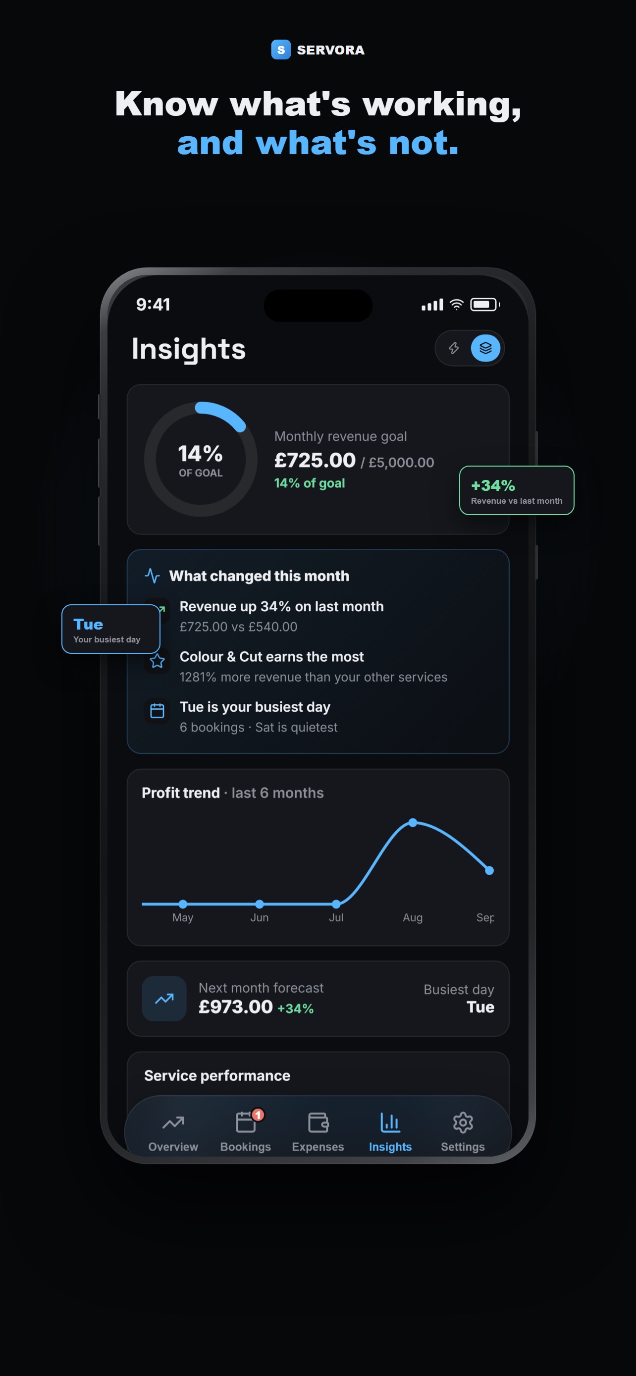 Screenshot 5 of Servora