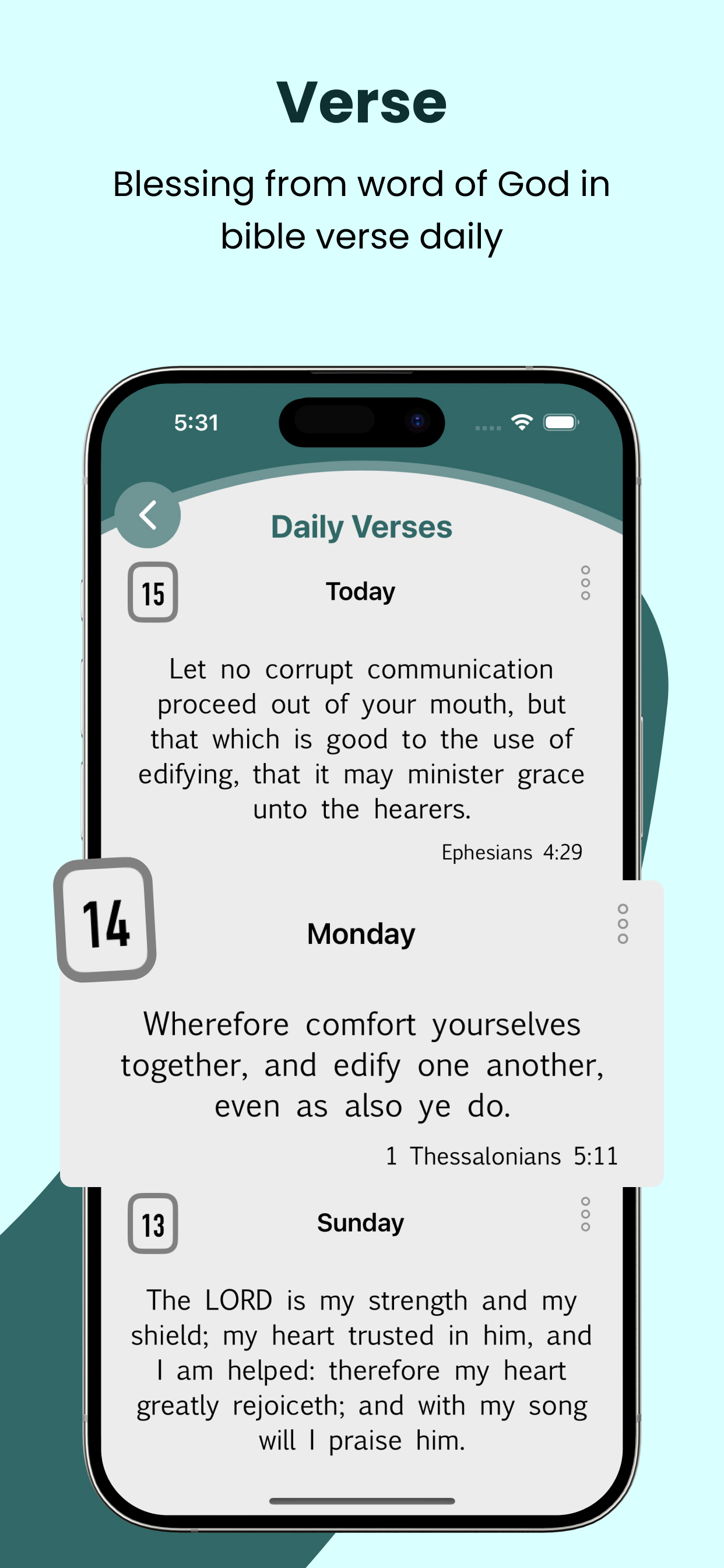 KJV Bible Audio - Holy Version screenshot 8