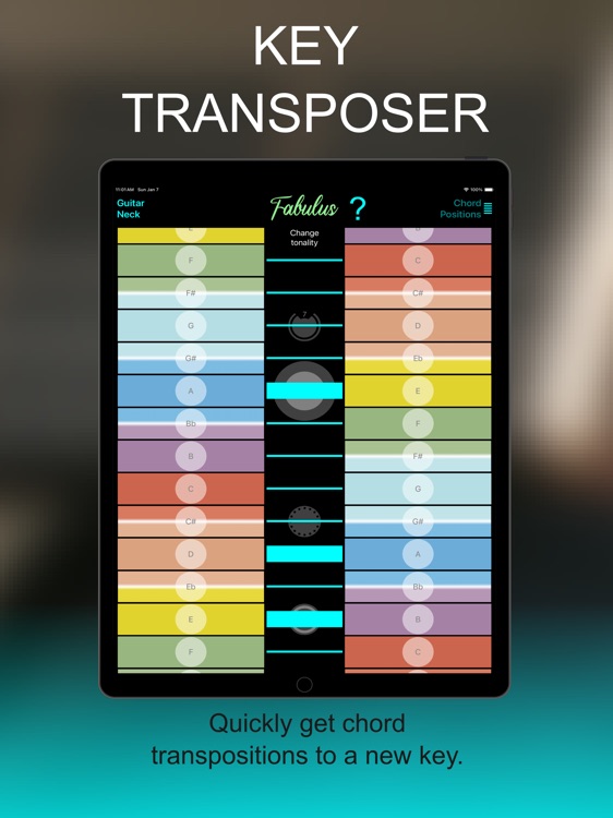 Guitar Chord Analyzer: FABULUS screenshot-6
