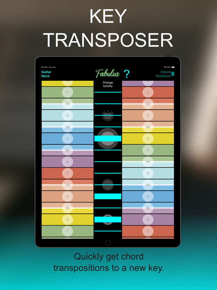 #7. Guitar Chord Analyzer: FABULUS (iOS) 由: Fabrice Mac