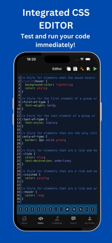 Learn CSS: Layout & Design Screenshot 4 of 8