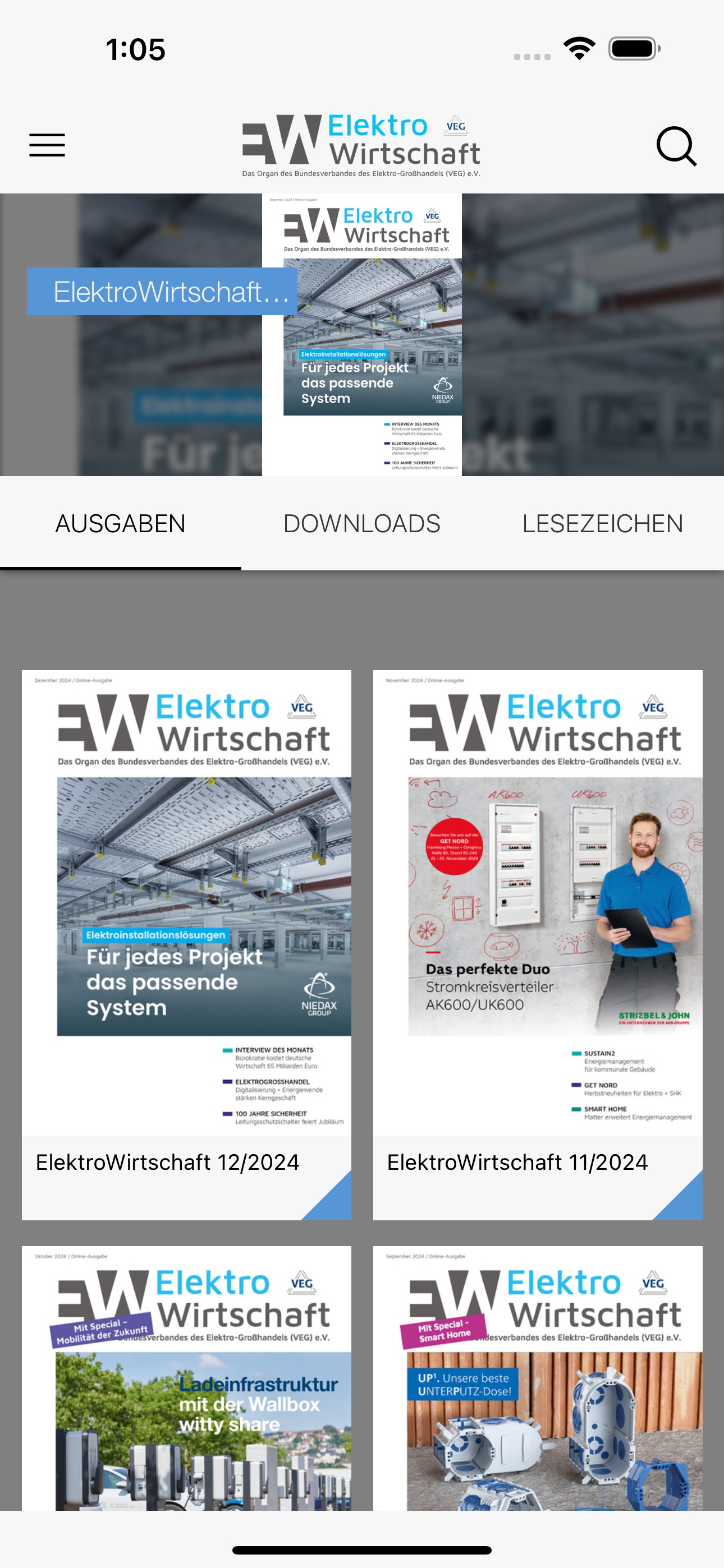 ElektroWirtschaft (VEG)