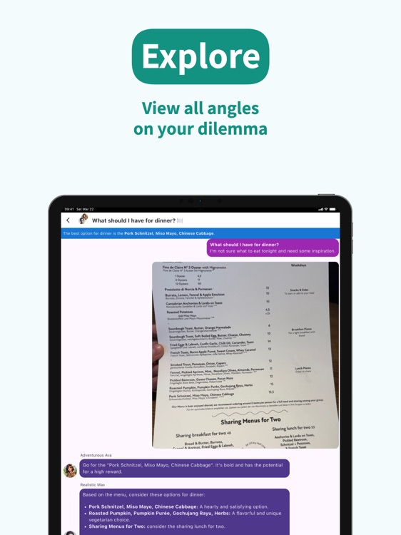 AI Chooser & Decision Arbiter screenshot-3