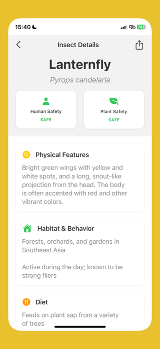 InsectID Insect Identifier AI Screenshot 3 of 4