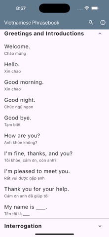 Vietnamese Basic Phrases screenshot