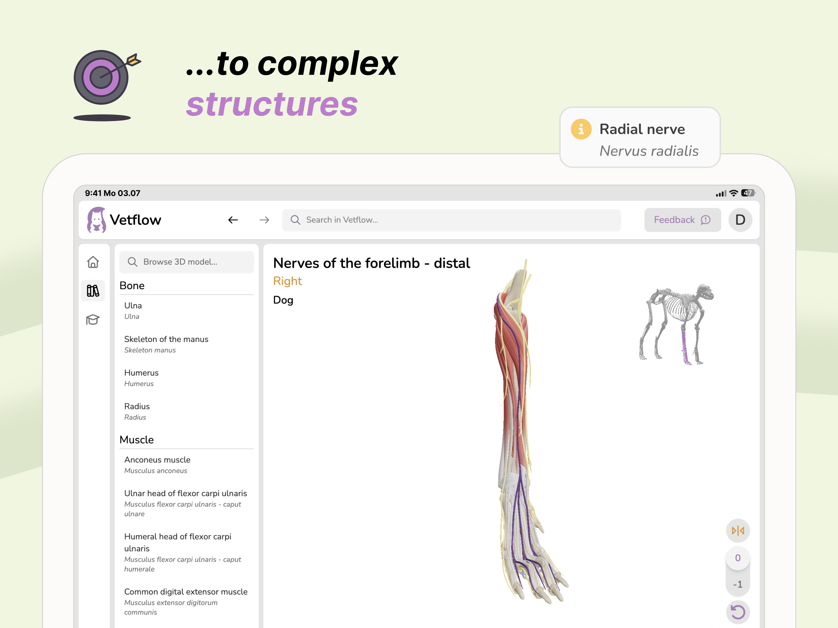 Vetflow - Learn Anatomy