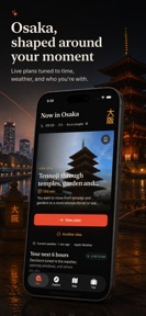 Osaka Travel Guide Offline screenshot