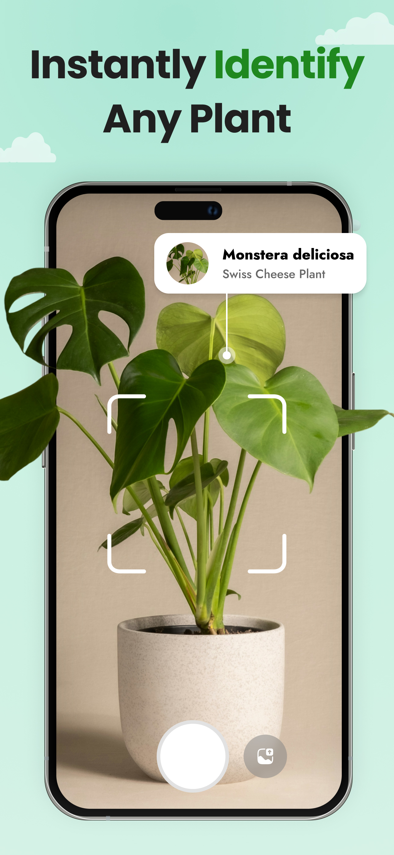 PlantMind: Plant identifier