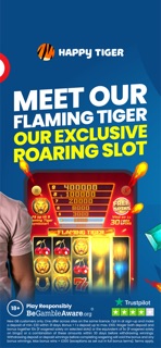 Happy Tiger: Bingo & Slots screenshot 5
