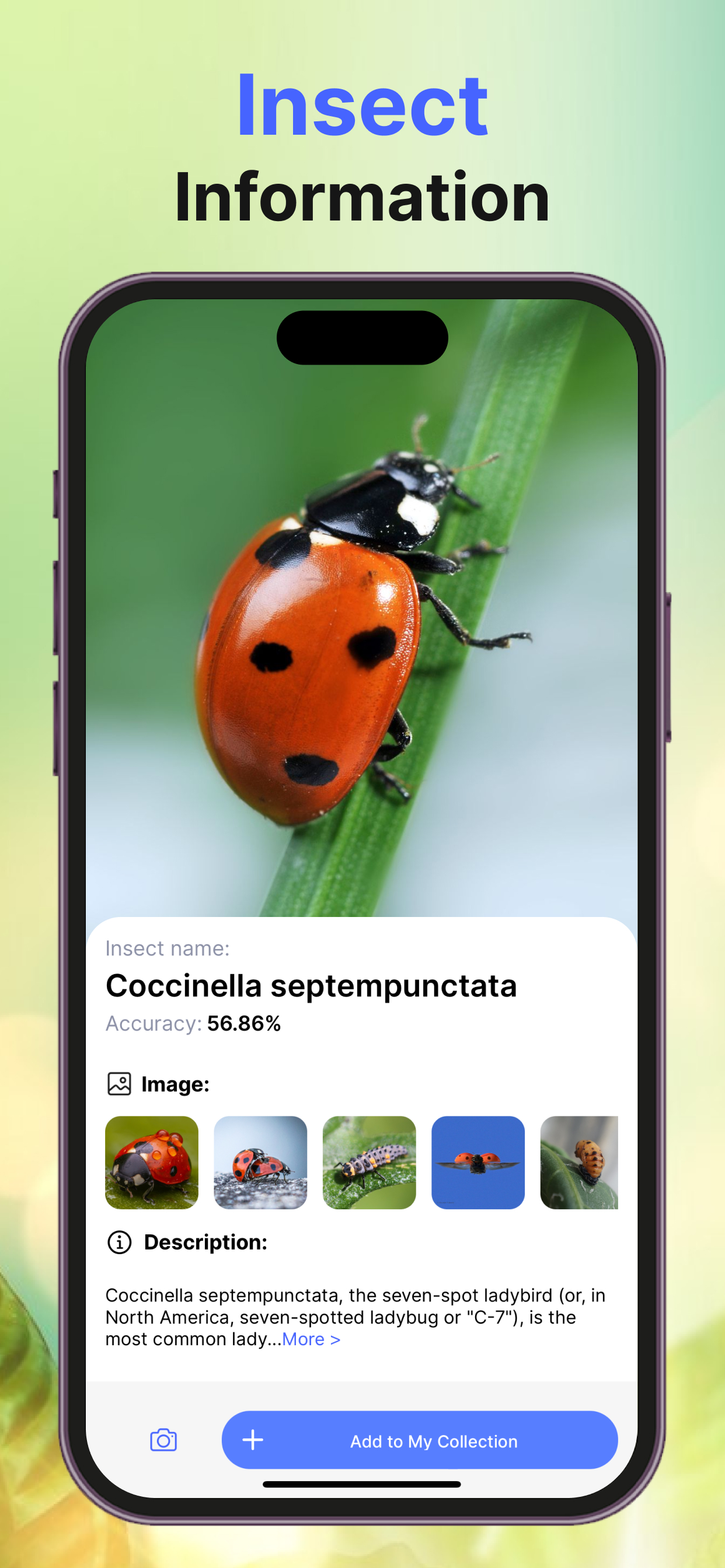 Bug Identifier Insect Finder