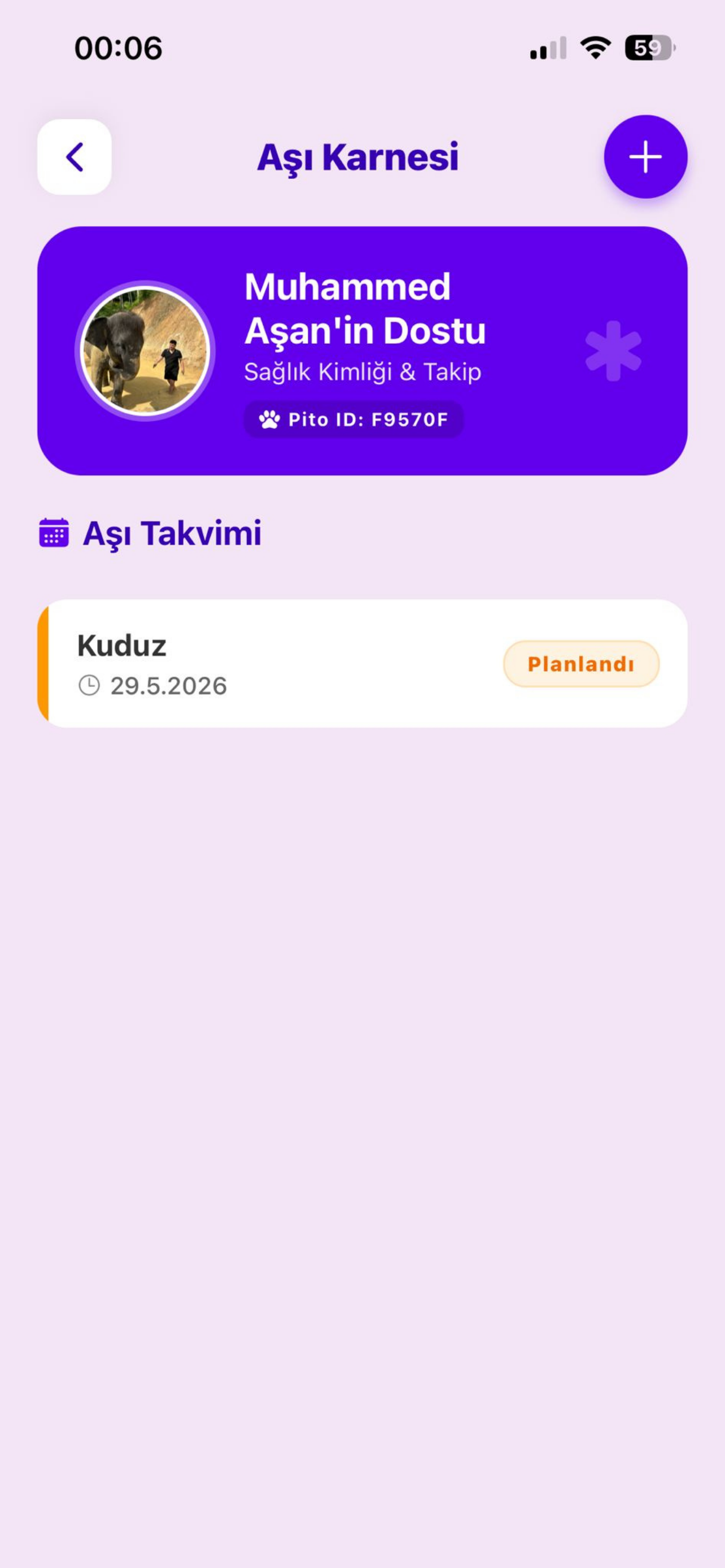 Pito: Hayvan Sahiplendirme