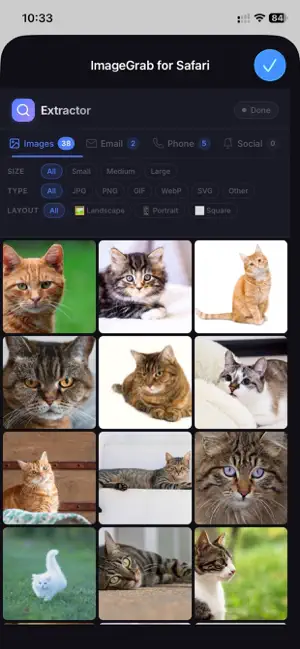 ImageGrab for Safari screenshot 1