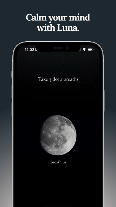 Luna Focus: Reflect & Grow Screenshot