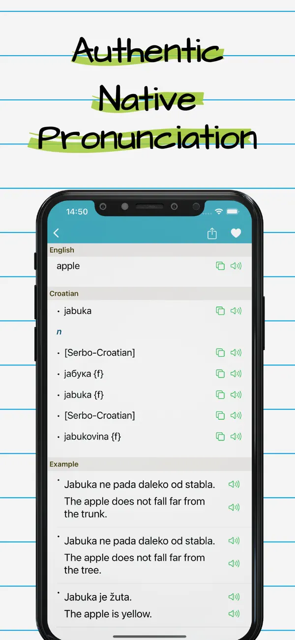 Screenshot #2 pour Croatian English Dictionary +